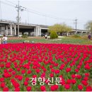 낙동강관리본부 화명생태공원 10 경향신문