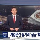 계엄령 판결 너무 황당하군 이미지