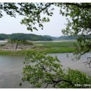 도산면_토계리_농로_017 | 도산서원에 입학하고 싶어~