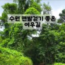 여우길 이미지