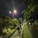 철길풍선 이미지