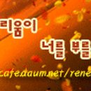 비응유 이미지