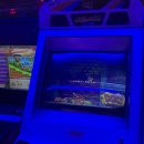 럭키게임랜드 이미지