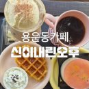 신이내린오후 이미지