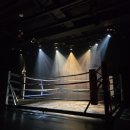 브라보 복싱 이미지