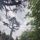 파스텔여관 이미지