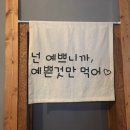 황금애견 이미지