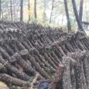 백련산농장 이미지