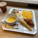 (주)가야바이오 | 도쿄 호텔 추천 Hotel Villa Fontaine Tokyo Hotchobori 호텔 빌라 폰테인 도쿄 핫초보리 숙박 &amp; 조식 후기