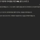 볼프스부르크로 UEFA 결승전 진출 어케했누 이미지