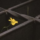 건설자재연합(주) 이미지