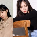 현주서비스 스포츠경향