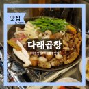다래곱창 - 중구 계룡로874번길 31 | 대전 월평동 곱창 맛집 '다래곱창' 모둠구이 내돈내산 후기