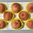 하송농장 | 유여사네 복숭아 후기: 수황 그냥 존맛...