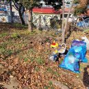 선유과선교 이미지