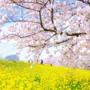 1166 | 사랑 명상 1166