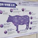 남도한우 이미지