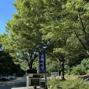 금화 | 대구 근교 경북 칠곡 가산면 금화식당 금화계곡 물놀이 후기