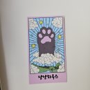 강일동주민센터 화장실 | 강동 하남미사 고양이카페 &#39;냥냥하우스&#39; 개냥이천국 힐링후기