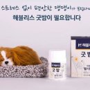 헤블