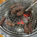 철마우림