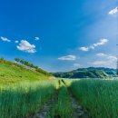 동강둔치 이미지