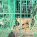 계양산목장 이미지