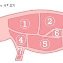 중국어 소고기/돼지고기 부위별 명칭 이미지