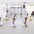 태빛태권도장 이미지