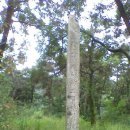 남대전신협 앞 이미지