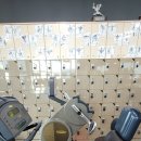 파워라인댄스 이미지