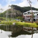 백호스크린골프 이미지