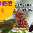 하모니카(1년) 이미지