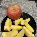 으뜸농원 | 상위 1% 프리미엄 부사사과 정담아농원 햇사과 먹어본 솔직후기