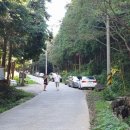 갈모봉산림욕장 이미지