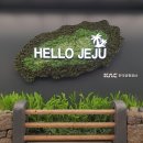 와흘354 | [제주도 관광편] 강아지랑 같이 2박 3일 제주도 여행 (+ 반려견 동반 제주도 맛집, 카페, 관광지...