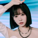 보라자원 이미지