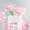 글램헤어 이미지
