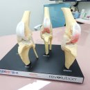 24시 청담우리 동물병원 이미지