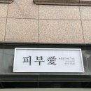 피부애 이미지