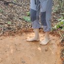 검단배수펌프장 이미지