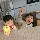 더조이플