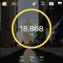 제주 보헤미안 이미지