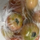 농라 창원||김농부 찰토마토 구매후기