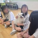 목암초등학교 이미지