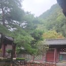 온달관광지(온달관) 이미지