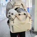 루비켄넬 | [내돈내산] 강아지 외출 필수템!이동가방 추천, 쉽고백팩 6in1 사용후기 🎒