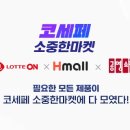 한일자동차써비스 | 2024 코리아세일페스타: 2600여 개사와 함께하는 역대 최대 할인 쇼핑 축제