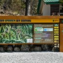원주산악자전거파크 이미지