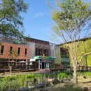 우포늪 광장 이미지